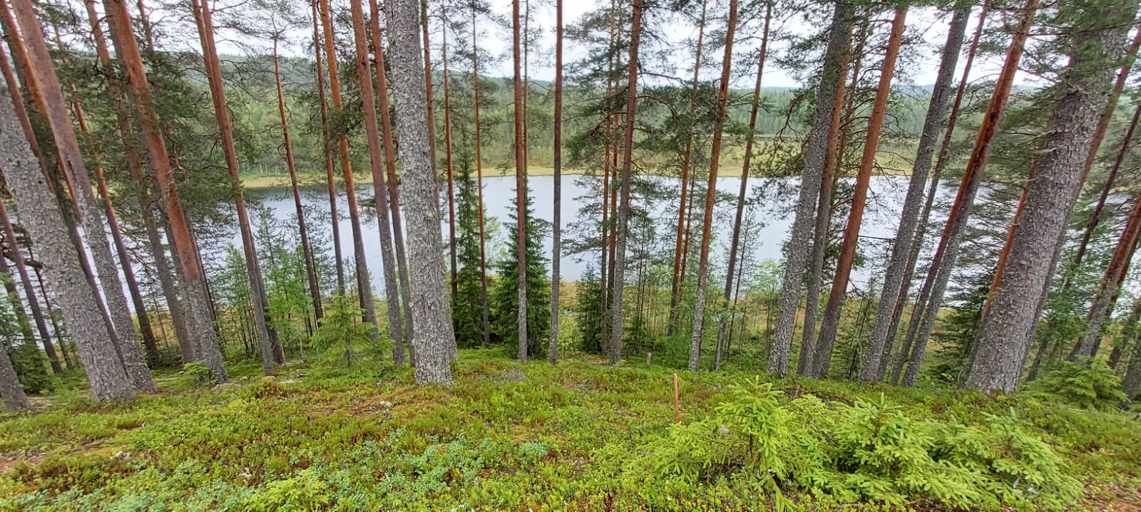 WhatsApp Image 2025-11-10 at 14.46.56 (1)